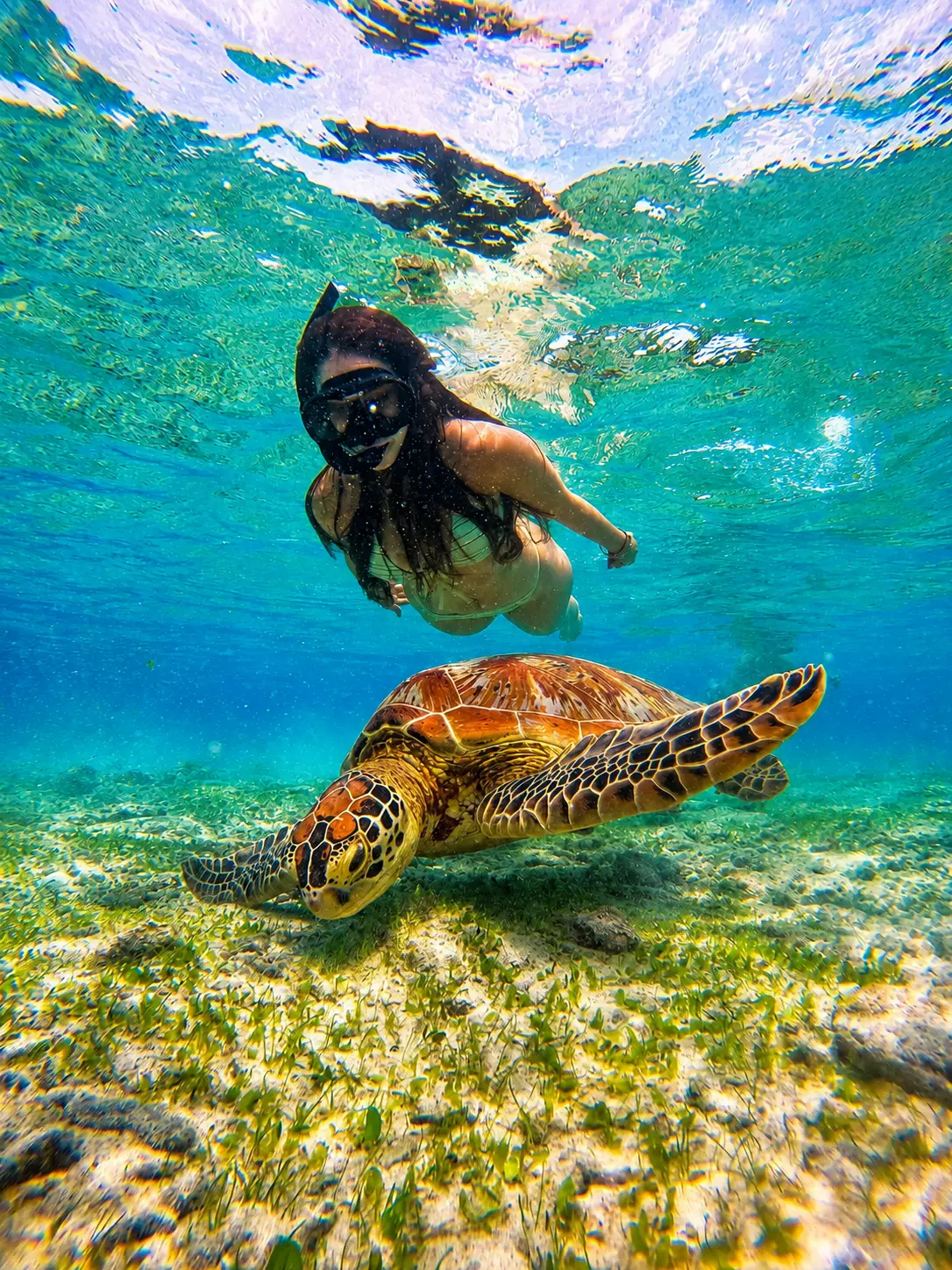 Snorkeler swimming beside a sea turtle in clear water